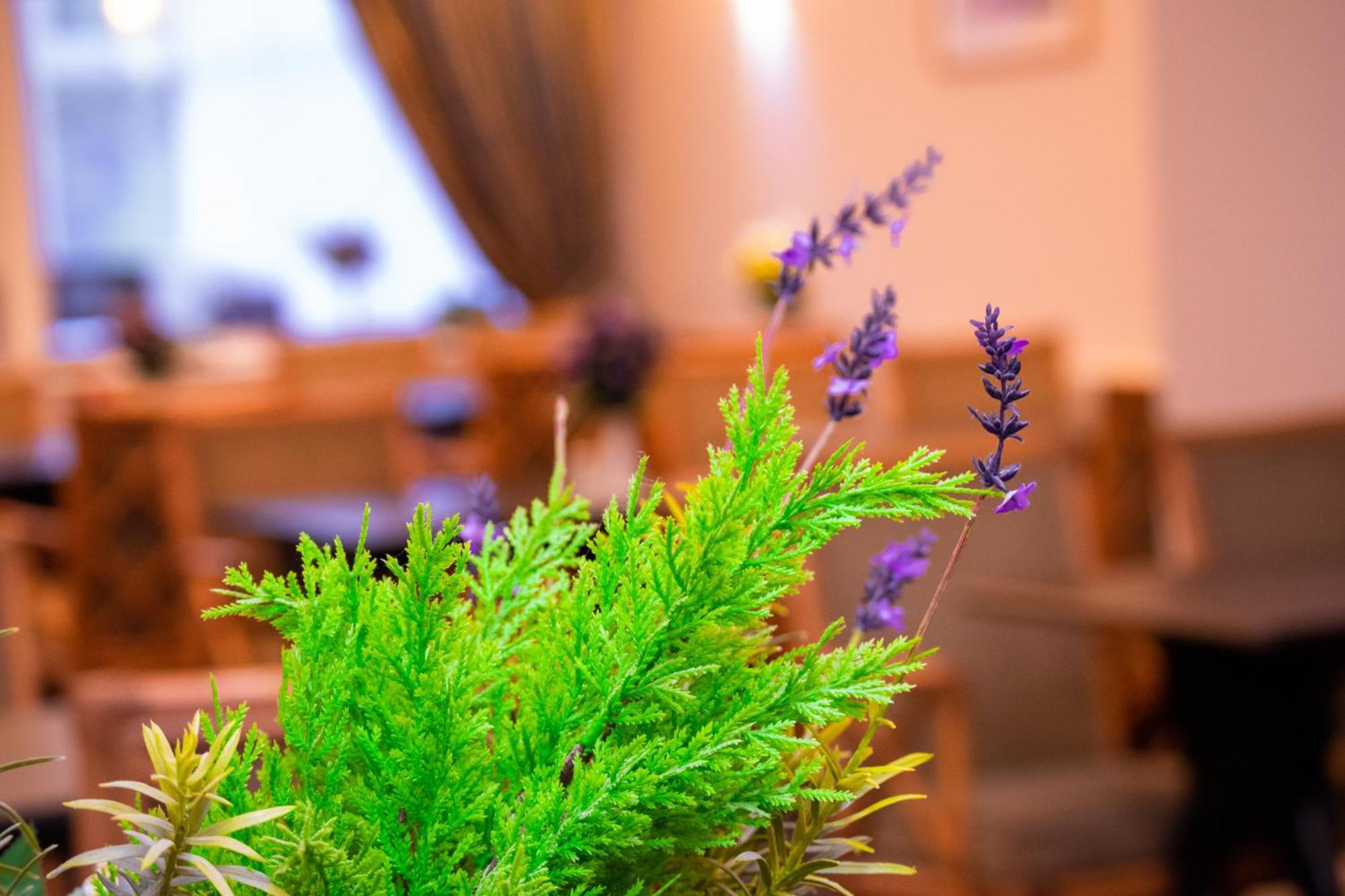 Royal Square Hotel - Nec & Birmingham Airport Marston Green Bagian luar foto